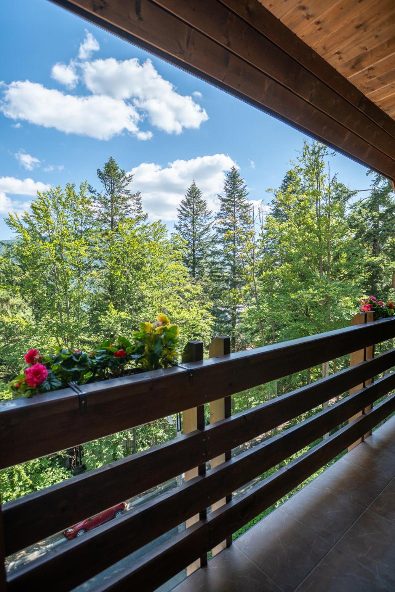 Opus Villa ซินายา ภายนอก รูปภาพ A balcony in the Alps