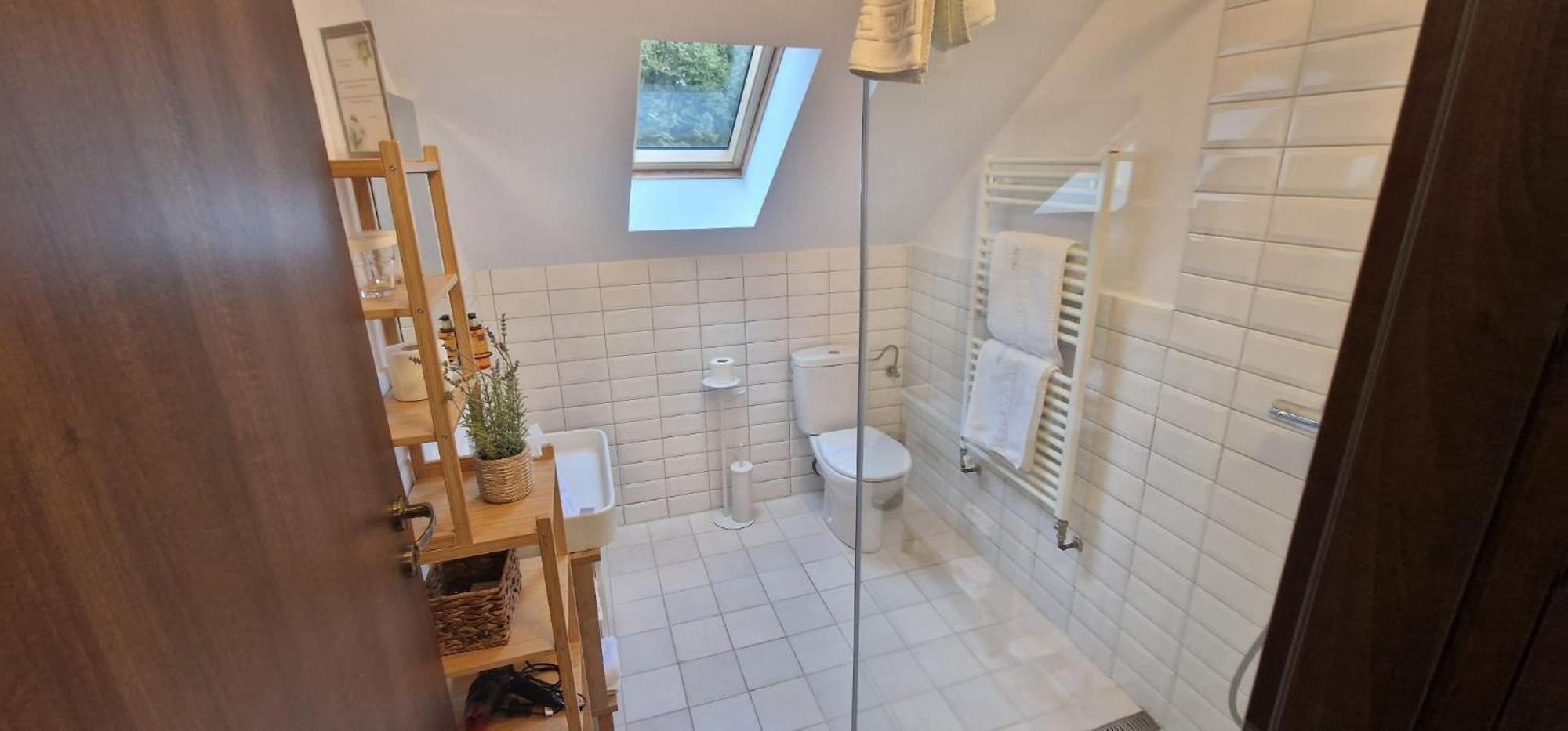 Opus Villa ซินายา ภายนอก รูปภาพ Bathroom with a shower